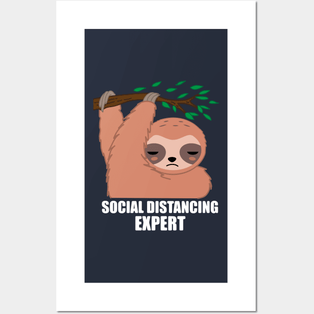 Social Distancing Expert Sloth Wall Art by BraaiNinja